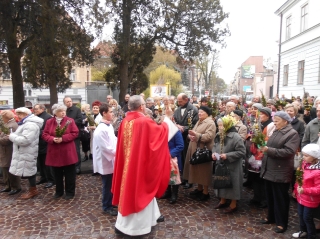 Niedziela Palmowa 2014