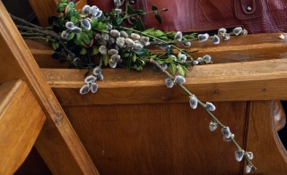 Niedziela_Palmowa_2018-21